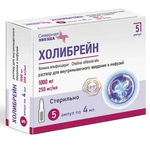 Холибрейн р-р д/инф/д/в/м 1000мг 4мл амп n5