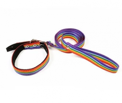 Поводок стропа радуга 25мм/3м
