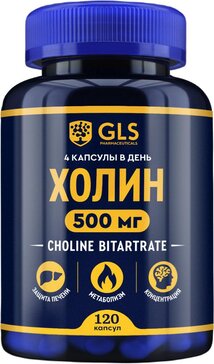GLS холин капс 400мг n120