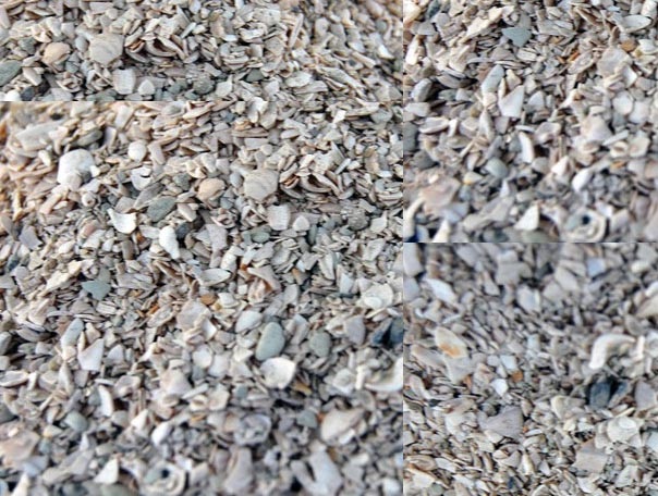 Ракушка кормовая для птиц 1 кг