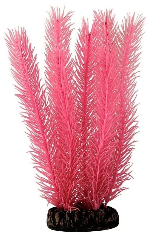 Растение амбулия красная Laguna 10см светящаяся
