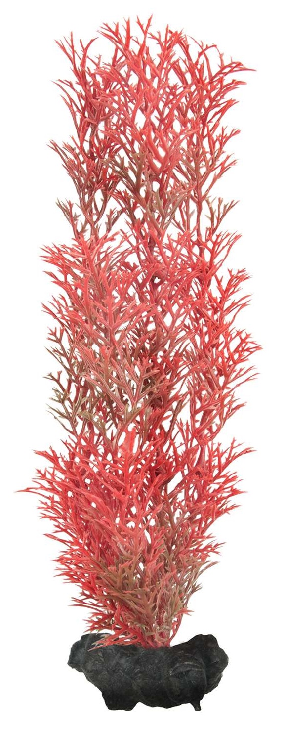 Растение искусственное перистолистник красный Tetra plantastics р.m