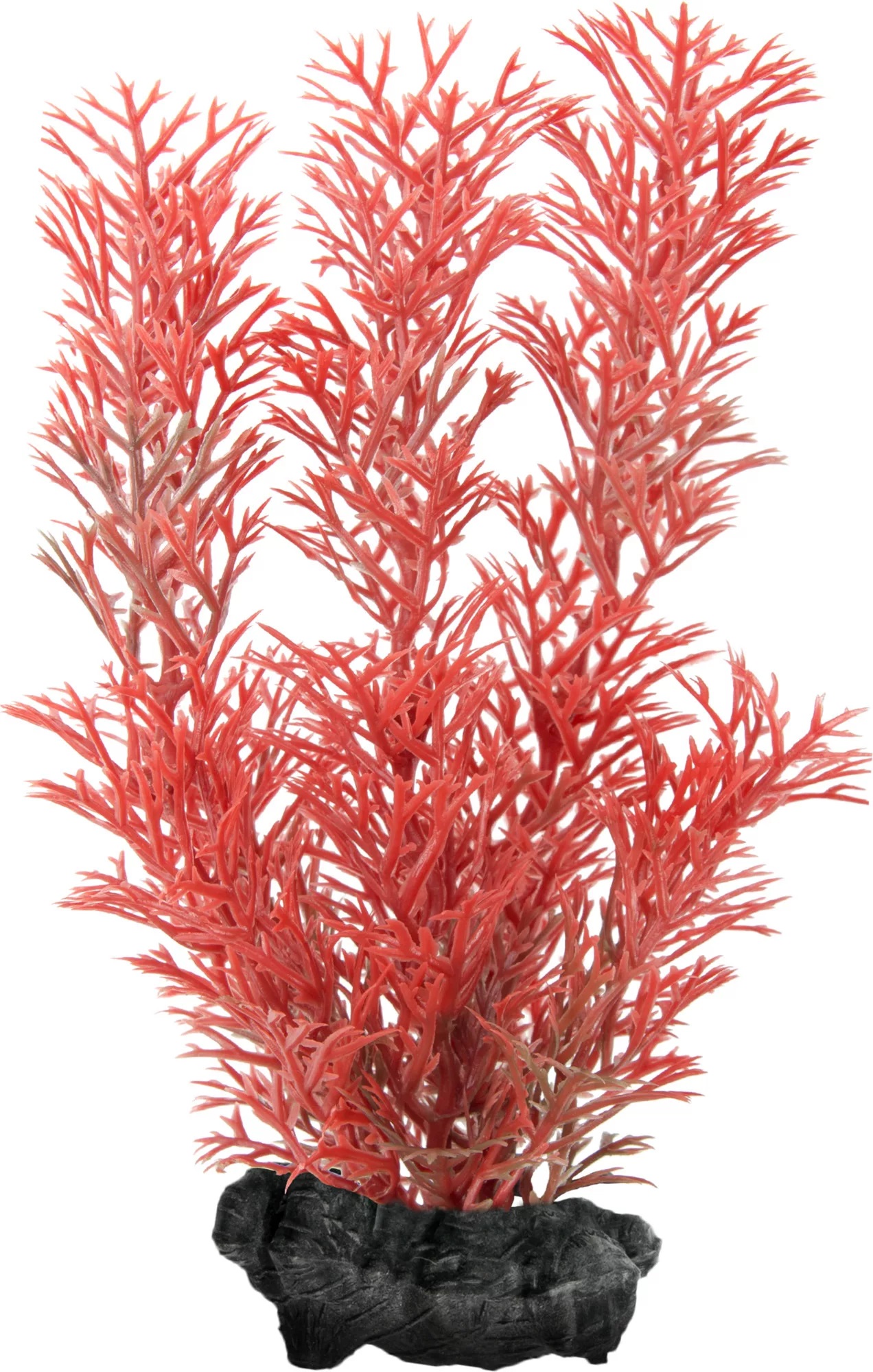Растение искусственное перистолистник красный Tetra plantastics р.s