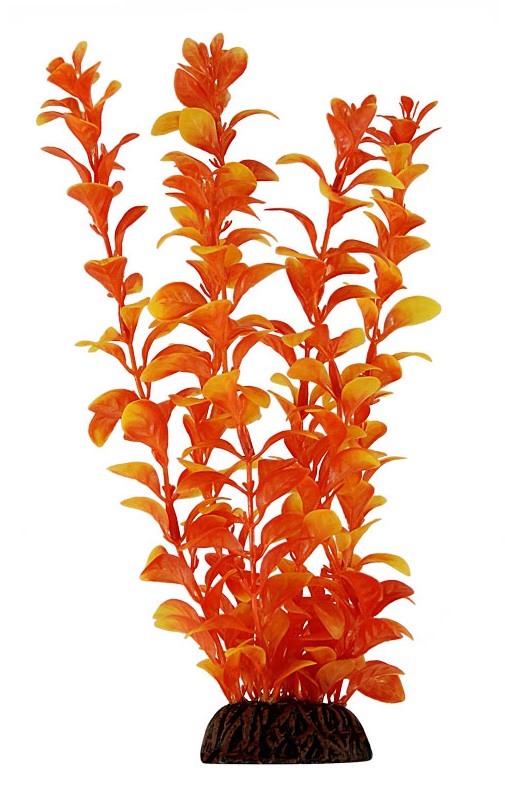 Растение людвигия оранжевая Laguna 10см