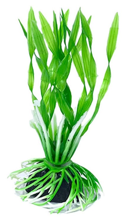 Растение пластиковое Barbus 10см валиснерия спиральная