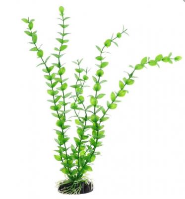 Растение пластиковое Barbus 20см бакопа зеленая