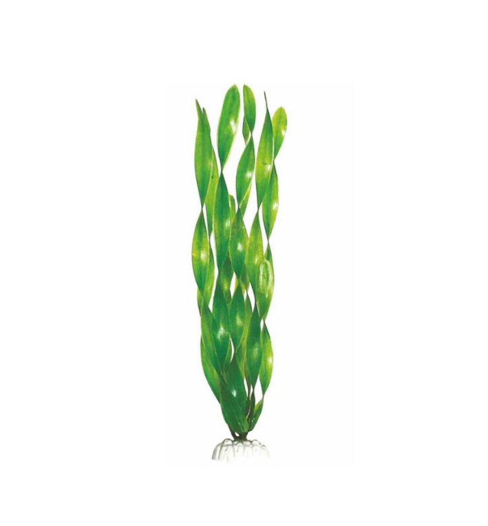 Растение пластиковое Barbus 30см валиснерия широколистная