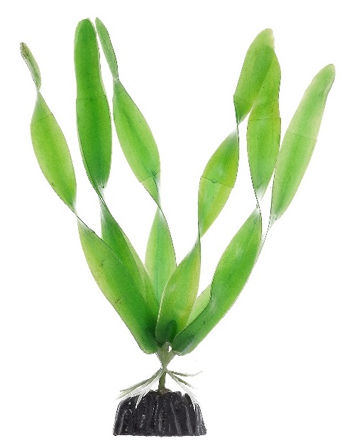 Растение пластиковое Barbus валиснерия широколистная 10см