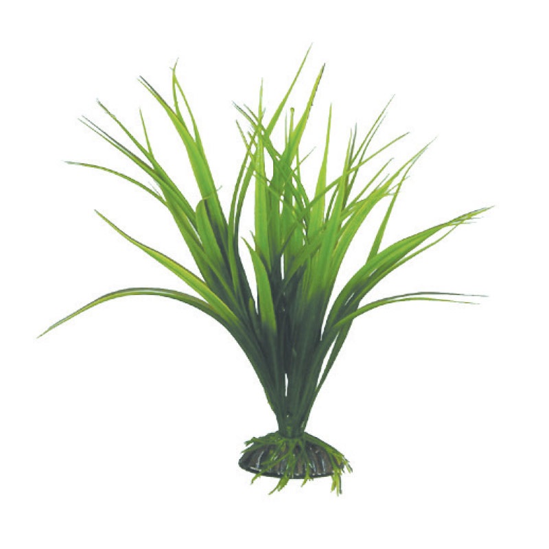 Растение сагиттария зеленая Laguna 30см
