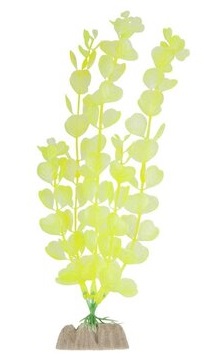 Растение флуоресцирующее желтое Tetra glofish р.l 20см