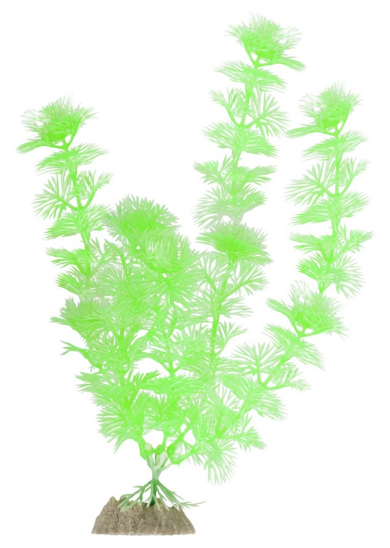Растение флуоресцирующее зеленое Tetra glofish р.l 20см