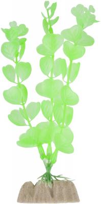 Растение флуоресцирующее зеленое Tetra glofish р.m 21см