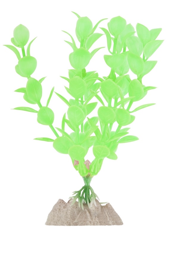 Растение флуоресцирующее зеленое Tetra glofish р.s 17см