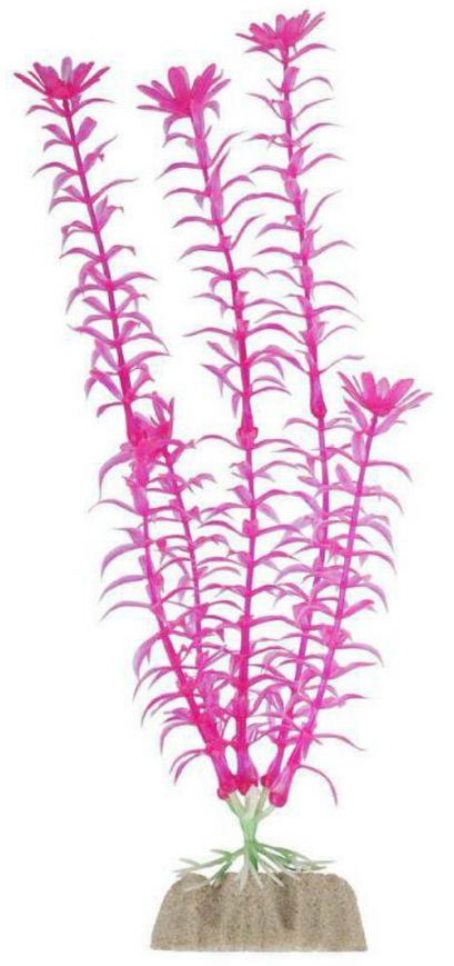 Растение флуоресцирующее розовое Tetra glofish р.l 20см