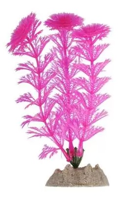 Растение флуоресцирующее розовое Tetra glofish р.m 21см