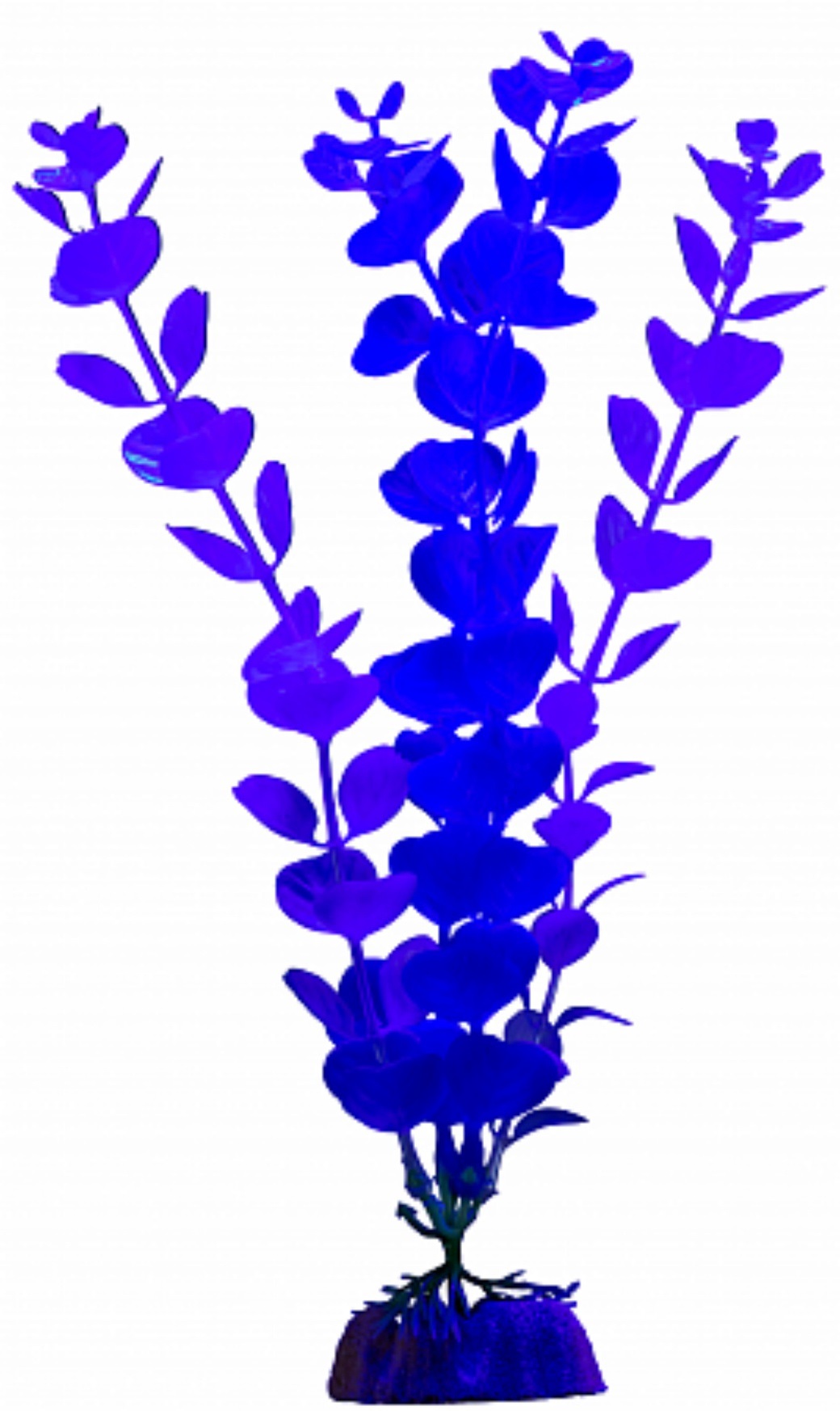 Растение флуоресцирующее синее Tetra glofish меняет цвет в уф р.l 29см
