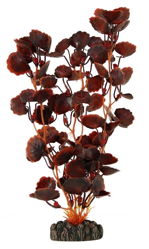 Растение щитолистник зеленый/оранжево-коричневый Laguna 25см