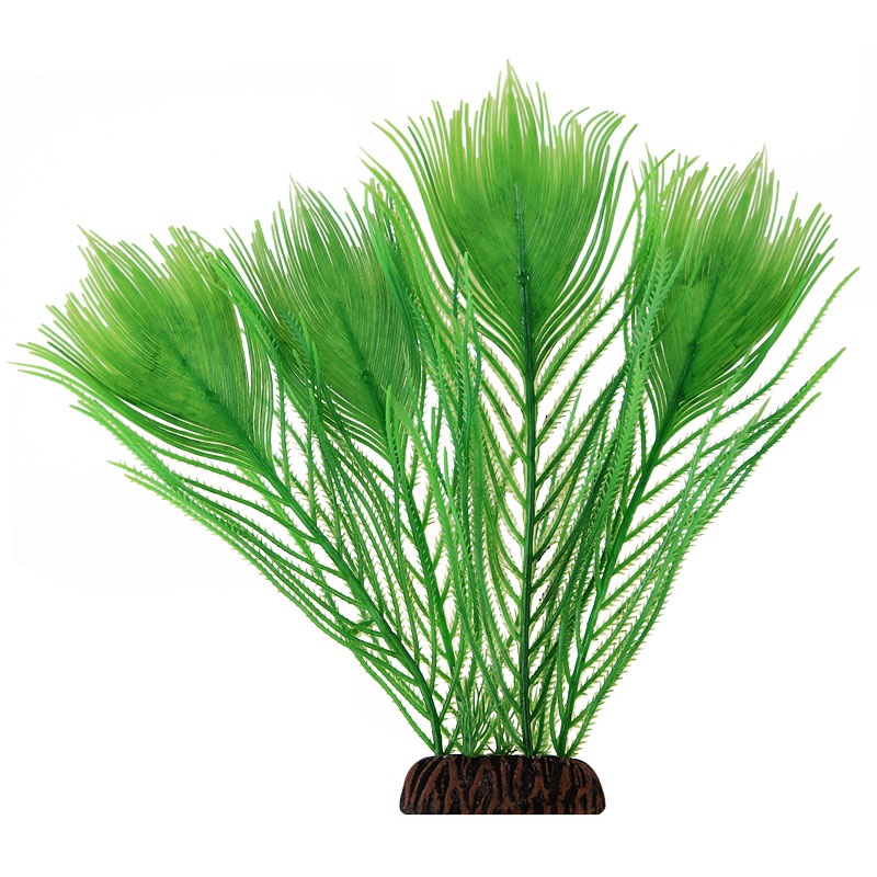 Растение эгерия зеленая Laguna 25см