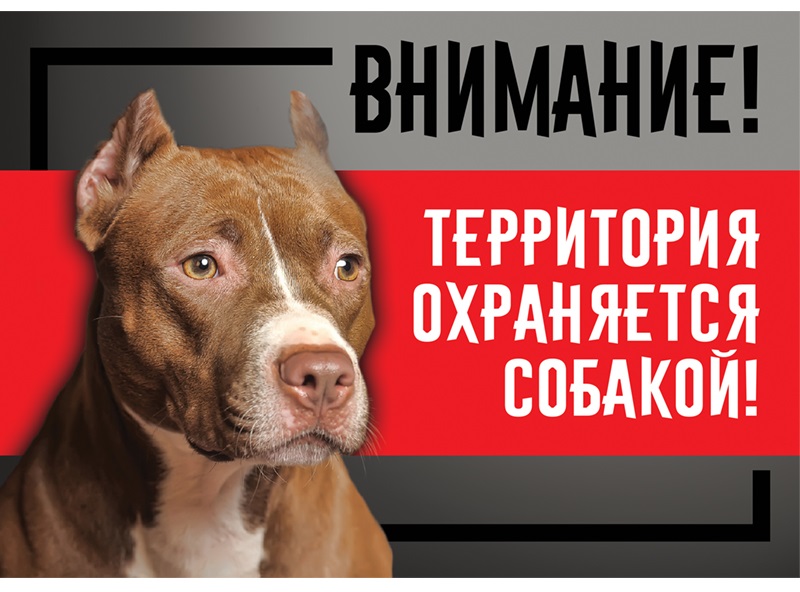 Табличка внимание территория охраняется собакой стаффорд Гамма 25.5х17см