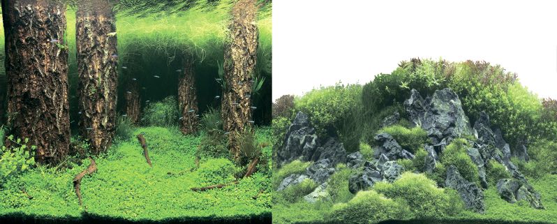 Фон двухсторонний для аквариума Xilong 30х60см затопленный лес/камни с растениями pr-002217