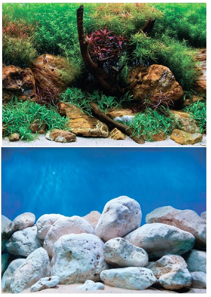 Фон двухсторонний плотный для аквариума Barbus водный сад/яркие камни 30х62см 016