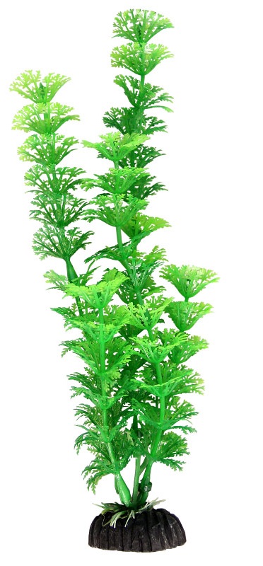 Растение амбулия зеленая Laguna 30см