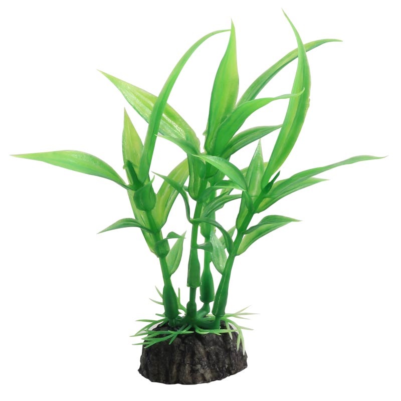 Растение гигрофила зеленая Laguna 10см