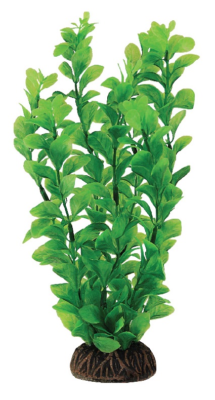 Растение людвигия зеленая Laguna 20см