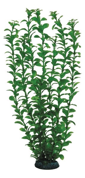 Растение людвигия зеленая Laguna 46см