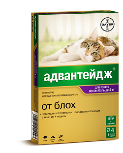 Адвантейдж 80 р-р наружн. для кошек более 4 кг п/паразит. n4