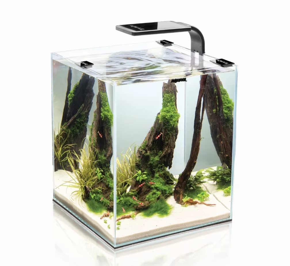 Аквариум для креветок белый Aqua el shrimp set smart led plant ii 10 л 20х20х25см набор