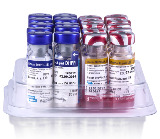 Биокан dhppi+lr суспензия д/и вакцина для собак против чумы,аденовироза,паровироза,парагриппа,лептоспироза,гепатиоа и бешенства 1 мл 1доз