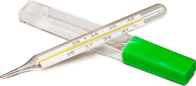 Термометр пласт футляр N 1