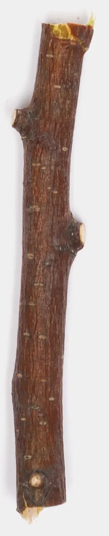 Игрушка-погрызушка для декоративных грызунов Мышильд ветви яблони