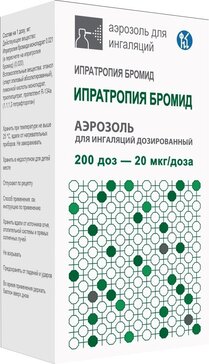 Ипратропия бромид аэр д/инг дозир 20мкг/доза фл 200доз N 1