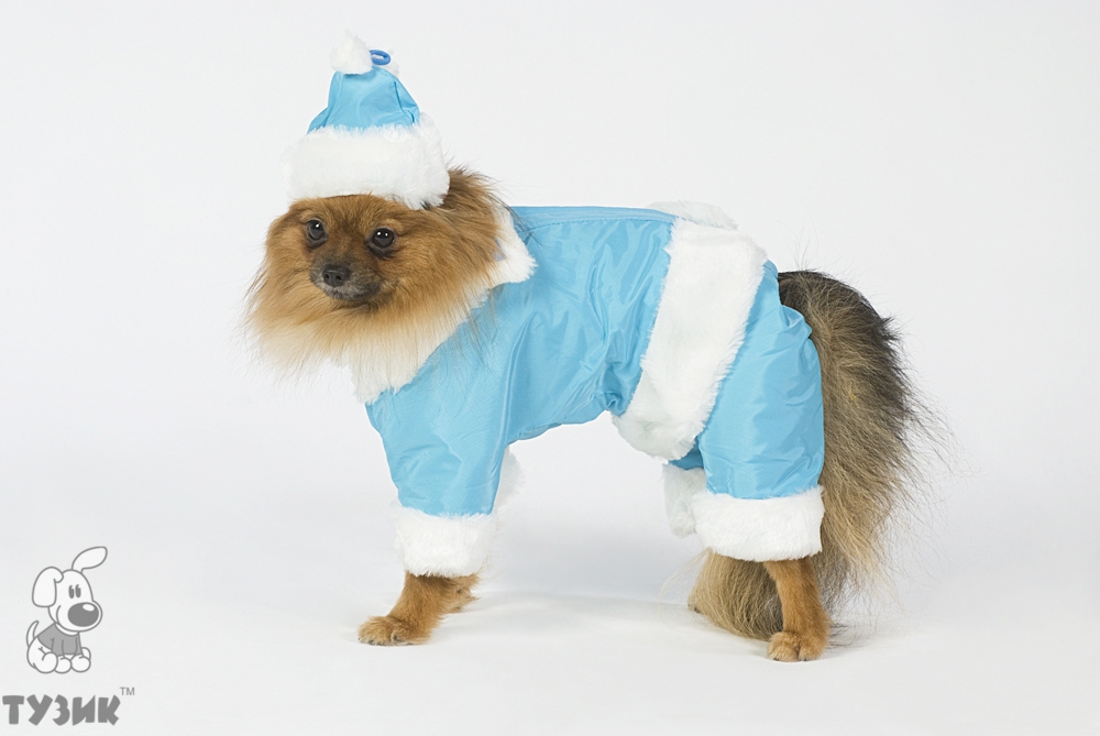Комбинезон карнавальный для собак девочек такса средняя Тузик снегурочка