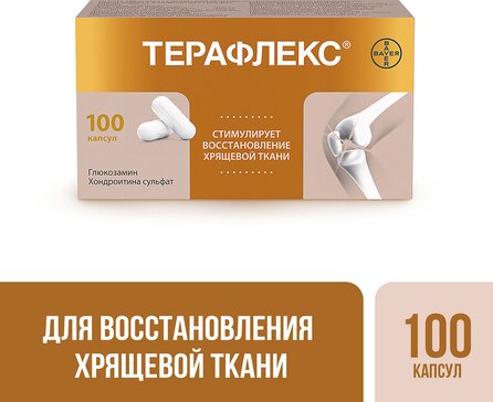 Терафлекс капс N 100