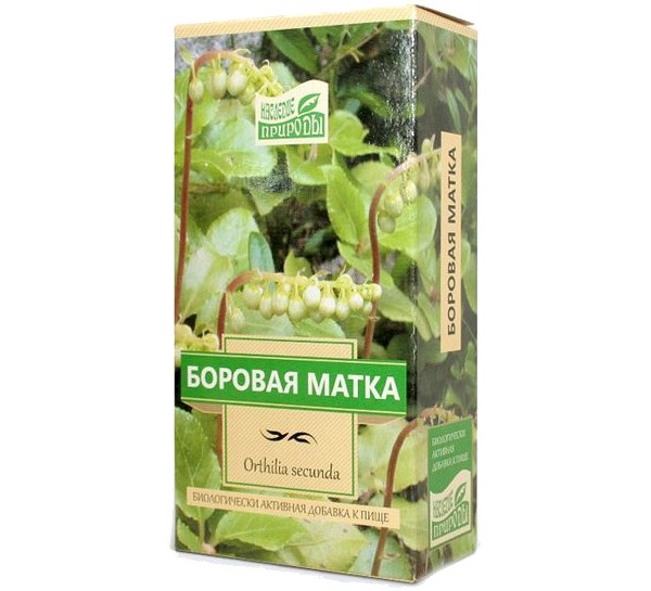 Боровая матка 30г