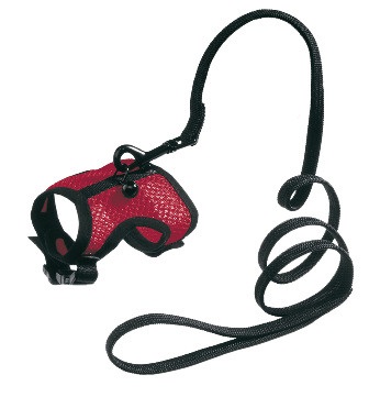 Комплект шлейка+поводок для кроликов и кошек красная Дарэленд аэро 3d сетка 24-29см №5