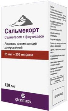 Сальмекорт аэр д/инг дозир 25мкг+250мкг/доза 120доз N 1