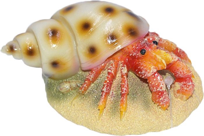 Декор рак-отшельник Meijing 10х7х3.5см