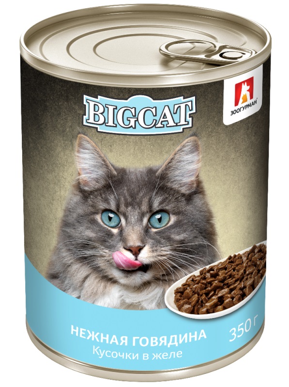 Корм для кошек Зоогурман big cat 350 г бан. говядина кусочки в желе