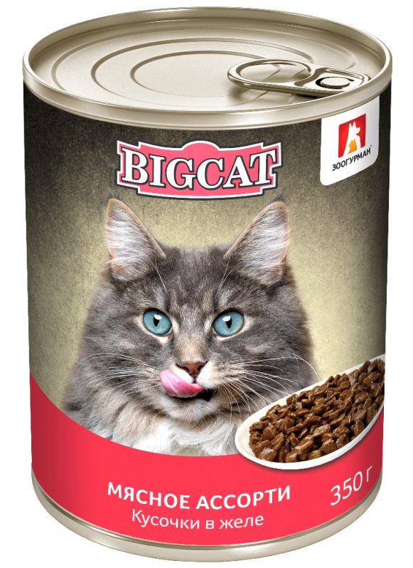 Корм для кошек Зоогурман big cat 350 г бан. мясное ассорти кусочки в желе