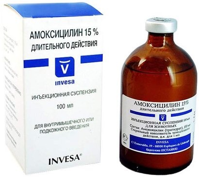 Амоксициллин суспензия д/и 150 мг/мл 100 мл