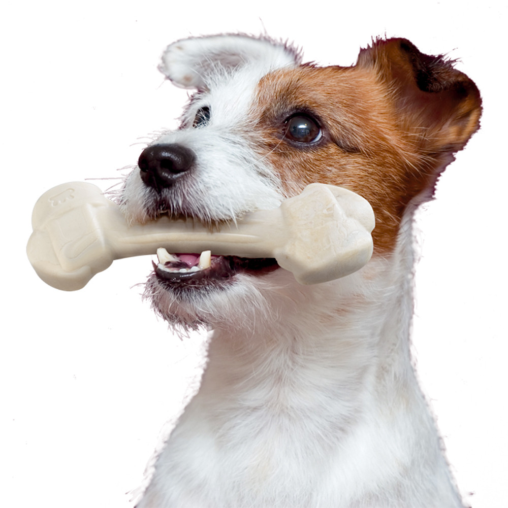 Кость-игрушка для собак Ferplast goodbite natural osso 15 г р.xs n4 вкус баранины