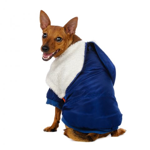 Куртка для собак синяя р.12