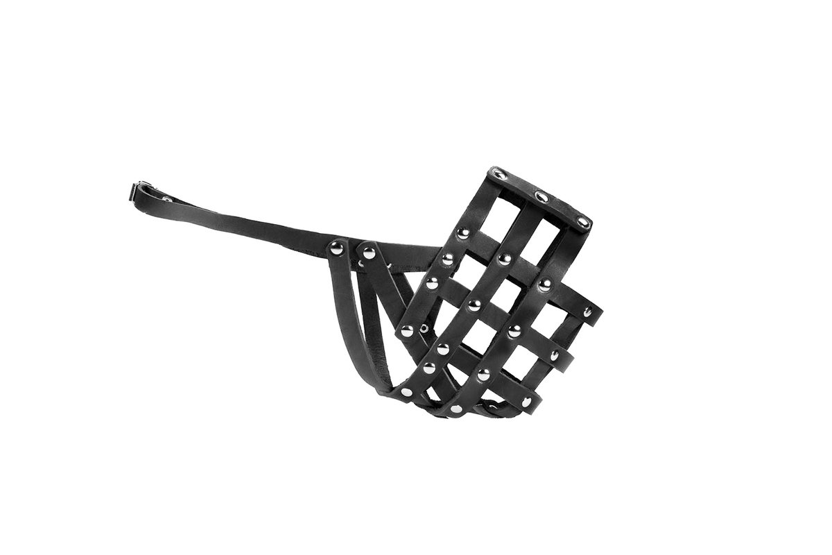 Намордник кожаный для собак мальчиков овчарка Дарэлл 30-32см №5