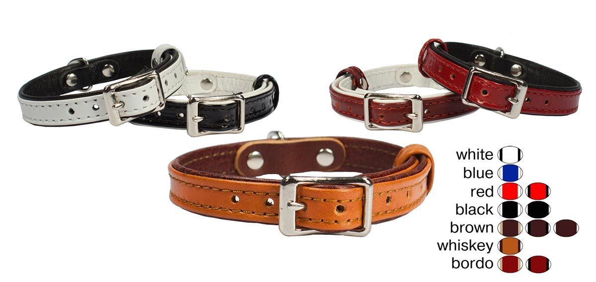 Ошейник Zoo-m классика 20мм/30-40см