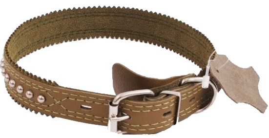 Ошейник Зоомастер с фурнитурой 20мм