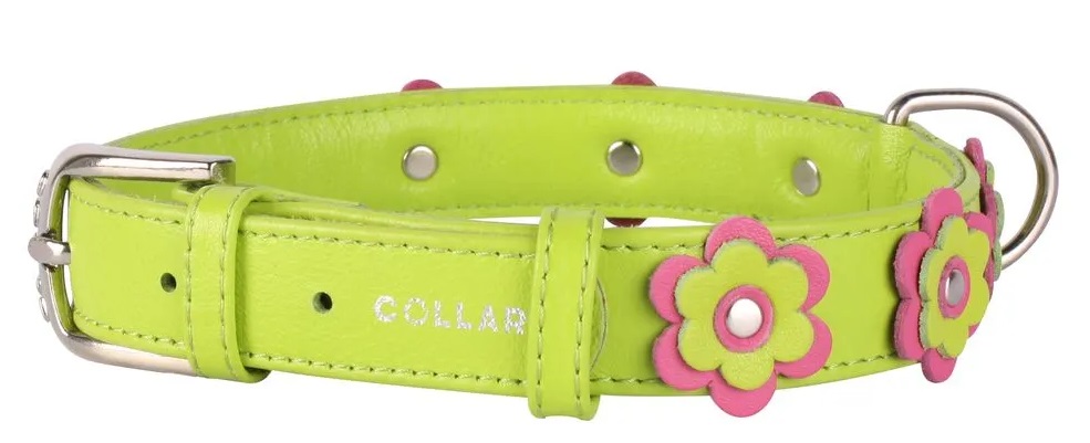 Ошейник кожаный двойной прошитый зеленый Collar glamour с украшением аппликация 25мм/38-49см